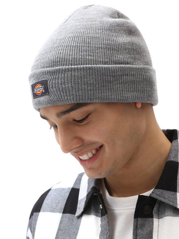 Dickies Gibsland Beanie - Cappelli Uomo - Grigio