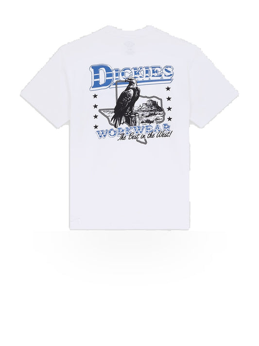 Dickies Gainesville Ss Tee - T-Shirt Uomo - Bianco