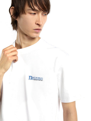 Dickies Gainesville Ss Tee - T-Shirt Uomo - Bianco