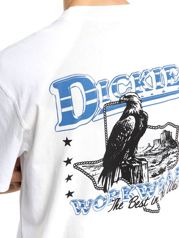 Dickies Gainesville Ss Tee - T-Shirt Uomo - Bianco