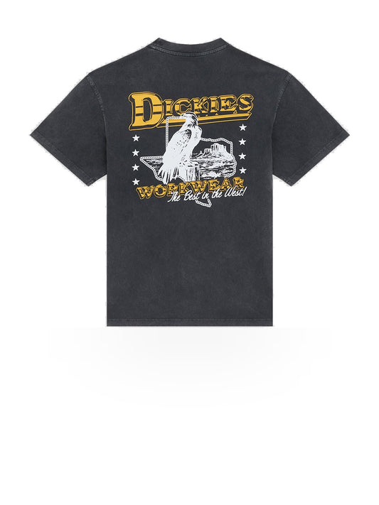 Dickies Gainesville Ss Tee - T-Shirt Uomo - Nero