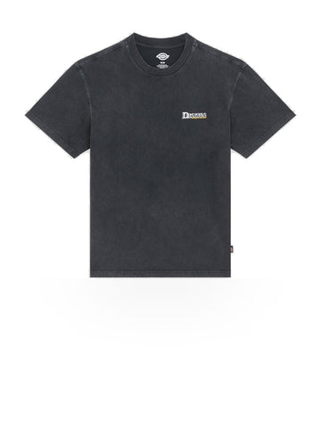 Dickies Gainesville Ss Tee - T-Shirt Uomo - Nero