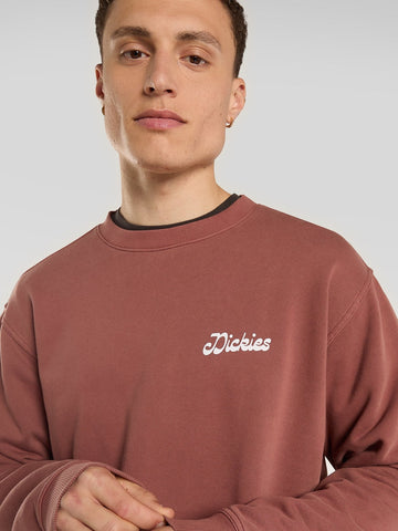 Dickies Cornville Sweatshirt - Felpe Uomo - Marrone