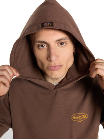 Dickies Avondale Hoodie - Felpe Uomo - Marrone