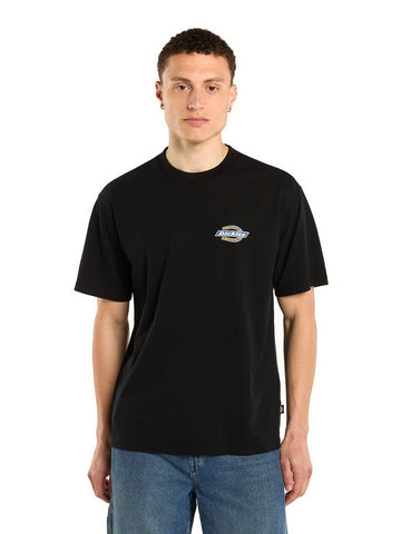 Dickies Paradise Ss Tee - T-Shirt Uomo - Nero