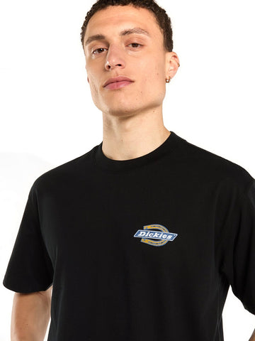 Dickies Paradise Ss Tee - T-Shirt Uomo - Nero