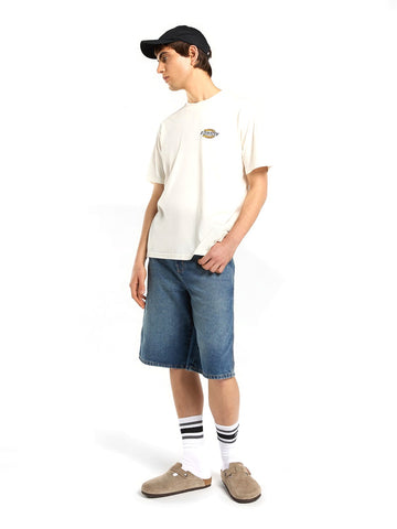 Dickies Paradise Ss Tee - T-Shirt Uomo - Bianco