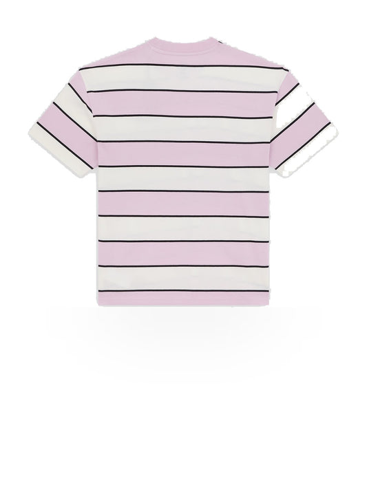 Dickies Embroidery Stripe Ss Tee - T-Shirt Uomo - Ecru