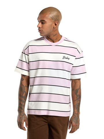 Dickies Embroidery Stripe Ss Tee - T-Shirt Uomo - Ecru