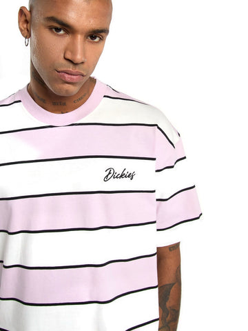 Dickies Embroidery Stripe Ss Tee - T-Shirt Uomo - Ecru