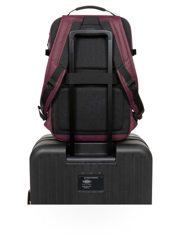 Eastpak Tecum M - Zaini Uomo - Cnnct Top Fig