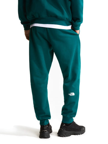 The North Face Pantalone Evolution Box Regular - Pantaloni Uomo - Verde Acqua