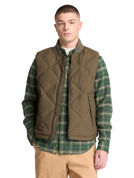 Gilet SEA TURTLE
