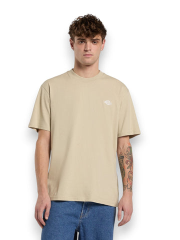 Dickies Summerdale Ss Tee - T-Shirt Uomo - Beige