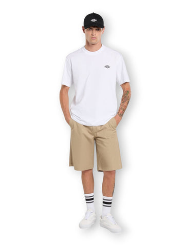 Dickies Summerdale Ss Tee - T-Shirt Uomo - Bianco
