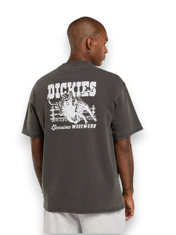 Dickies Buchtell Ss Tee - T-Shirt Uomo - Nero