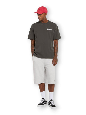 Dickies Buchtell Ss Tee - T-Shirt Uomo - Nero