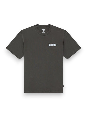 Dickies Buchtell Ss Tee - T-Shirt Uomo - Nero