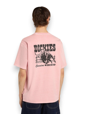 Dickies Buchtell Ss Tee Bridal Rose - T-Shirt Uomo - Rosa