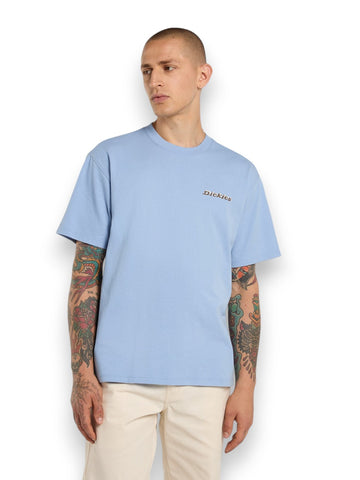 Dickies Thornville Ss Tee Endless Sky - T-Shirt Uomo - Azzurro