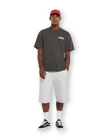 Dickies Streetsboro 13 Inch Sweat - Shorts Uomo - Grigio