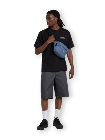 Dickies Fairlawn Ss Tee - T-Shirt Uomo - Nero
