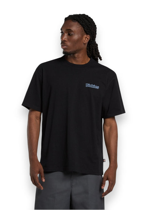 Dickies Fairlawn Ss Tee - T-Shirt Uomo - Nero
