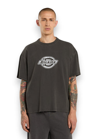 Dickies Plainville Ss Tee Black - T-Shirt Uomo - Nero