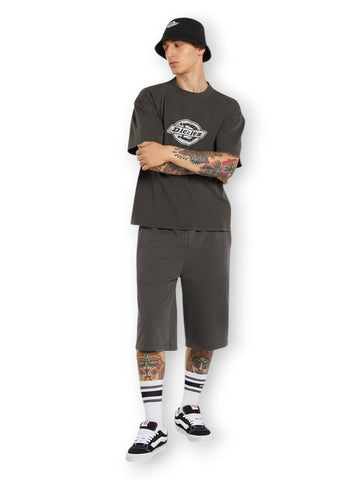 Dickies Plainville Ss Tee Black - T-Shirt Uomo - Nero