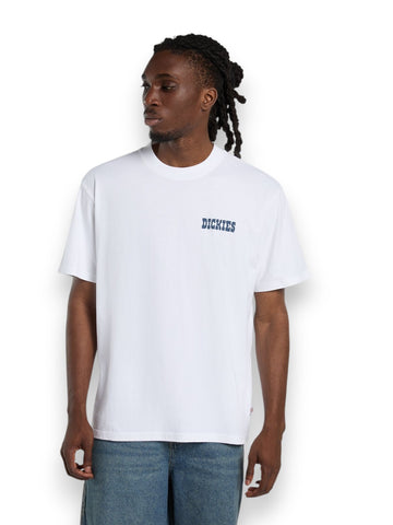 Dickies Plain City Ss Tee - T-Shirt Uomo - Bianco