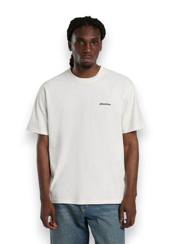 Dickies Loretto Ss Tee - T-Shirt Uomo - Ecru