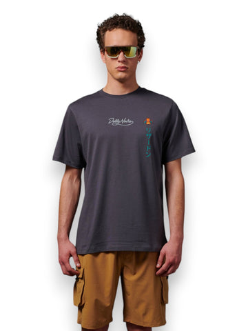 Dolly Noire Charizard Evolution Tee - T-Shirt Uomo - Grigio