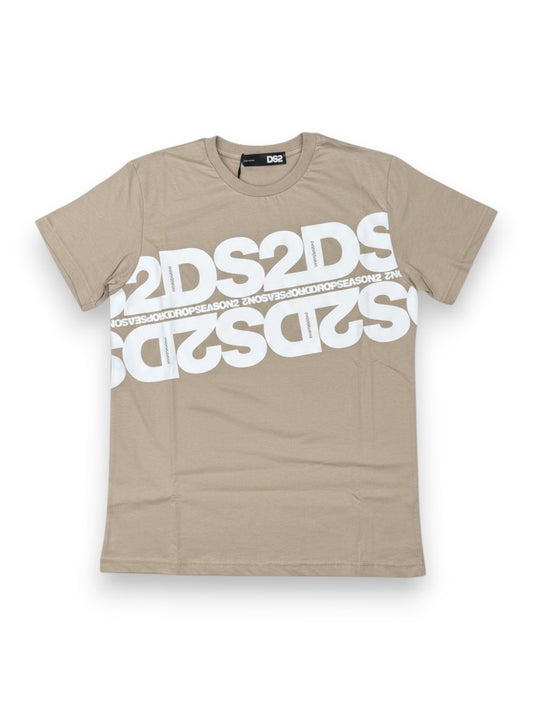 Dropseason2 T-Shirt Uomo - Grigio
