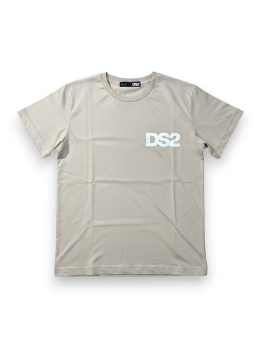 Dropseason2 T-Shirt Uomo - Grigio