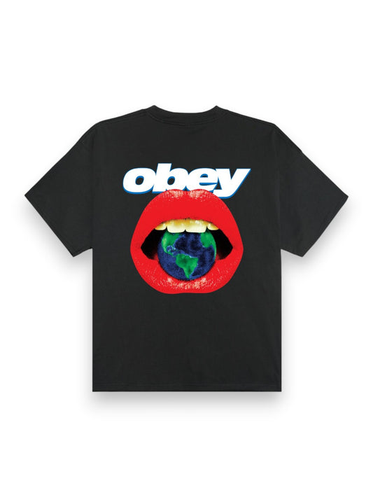 Obey Lips Tee - T-Shirt Uomo - Grigio